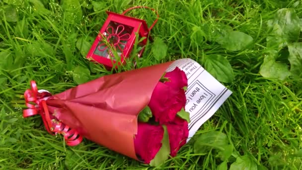 Bellissimo Bouquet Rose Rosse Nobili Rose Rosse Con Bokeh Luminoso — Video Stock