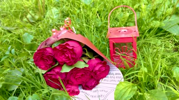 Hermoso Ramo Rosas Rojas Rosas Rojas Nobles Con Bokeh Brillante — Vídeo de stock