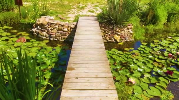Holzbrücke Wasser Und Andere Immergrüne Pflanzen Entlang Der Küste Spiegeln — Stockvideo