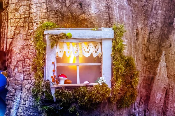 Büyülü elf ya da cüce evinin büyülü pencereli bir peri masalı ormanı. 