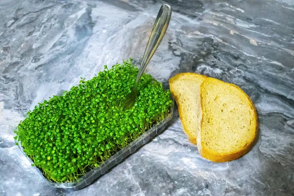 Kiełkowanie Nasion Celu Żywienia Sadzonki Micro Greens Świeże Organiczne Mikrowarzywa — Zdjęcie stockowe