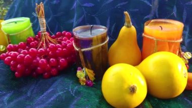 Renkli yapraklı balkabağı ve viburnum meyveleri. Balkabağı, sebze, meyve ve böğürtlen hasadı konsepti.