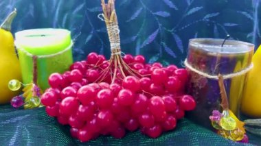 Renkli yapraklı balkabağı ve viburnum meyveleri. Balkabağı, sebze, meyve ve böğürtlen hasadı konsepti.