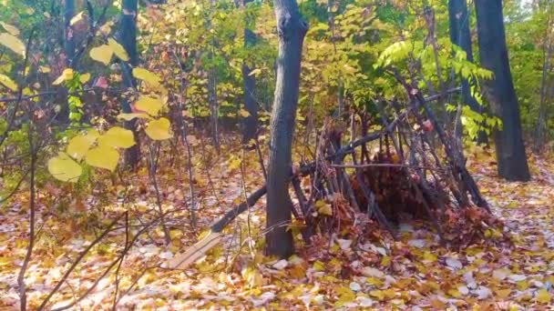 Hütte Herbstwald Nahaufnahme — Stockvideo