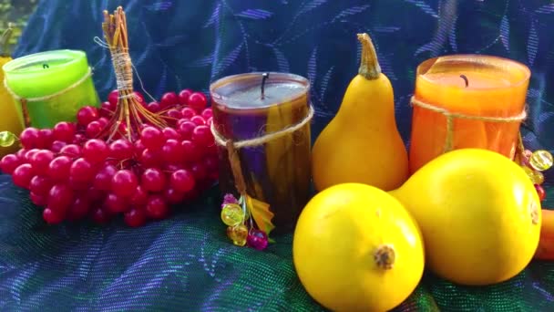 Tökök Viburnum Bogyók Színes Levelekkel Tökzöldségek Gyümölcsök Bogyók Őszi Szüretének — Stock videók