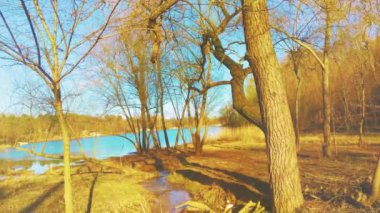Beautiful green spring park. Tranquil landscape at a lake, with the vibrant sky, white clouds and the trees