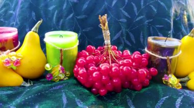 Renkli yapraklı balkabağı ve viburnum meyveleri. Balkabağı, sebze, meyve ve böğürtlen hasadı konsepti.