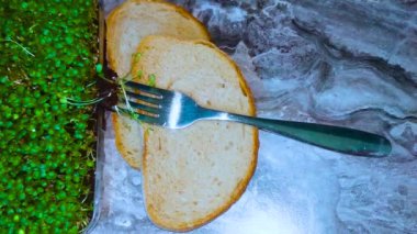 Beslenme için tohumların filizlenmesi. Seedlings Mikro Yeşiller. Plastik bir kabın içinde taze organik mikroyeşiller. 