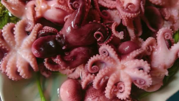 Little Octopuses Plate Table Seafood — Vídeo de Stock
