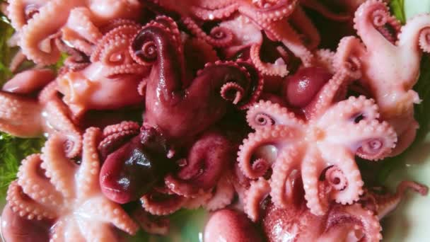 Little Octopuses Plate Table Seafood — Stockvideo
