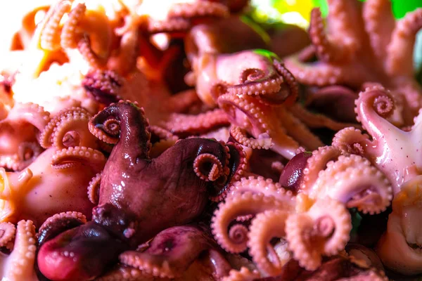 Little Octopuses Plate Table Seafood — Stockfoto