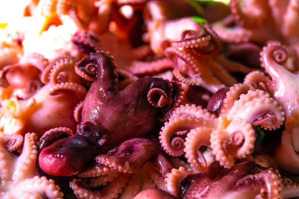 Little Octopuses Plate Table Seafood — Stockfoto