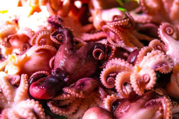 Little Octopuses Plate Table Seafood — Zdjęcie stockowe