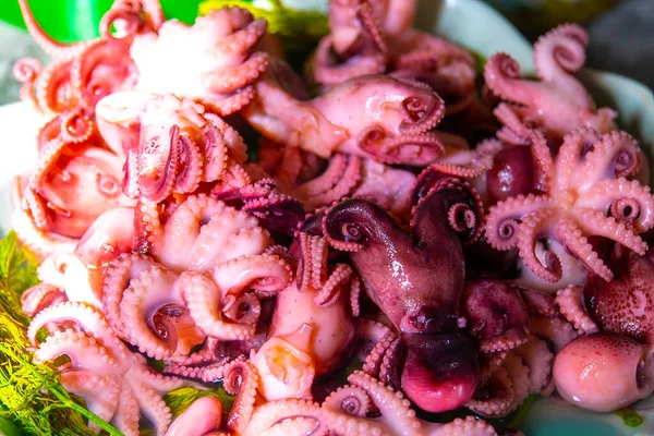 Little Octopuses Plate Table Seafood — Foto Stock