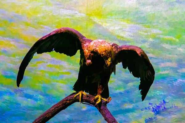 Detailed View Stuffed Birds Beautiful Colors — Stok fotoğraf