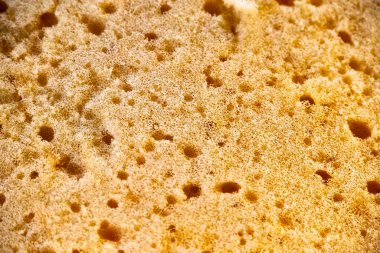 kapatma sarı sünger arkaplan dokusu 