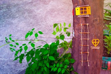 Büyülü elf ya da cüce evinin büyülü pencereli bir peri masalı ormanı. 