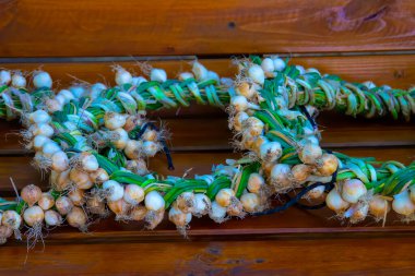 Sarımsaklı çelenkleri yakın çekim. Zengin hasat. Tarım ve tarım.