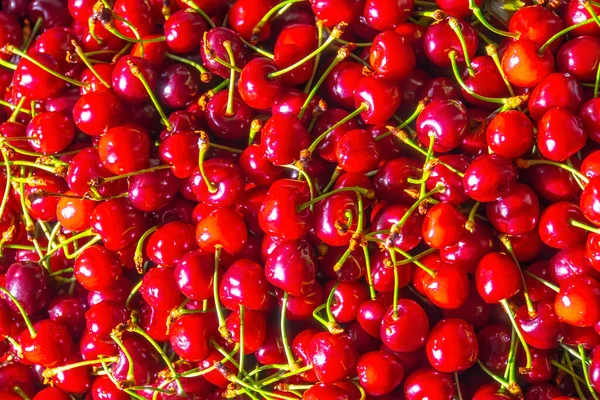 Wiśniowy Świeże Organiczne Jagody Kontekst Owoców — Zdjęcie stockowe