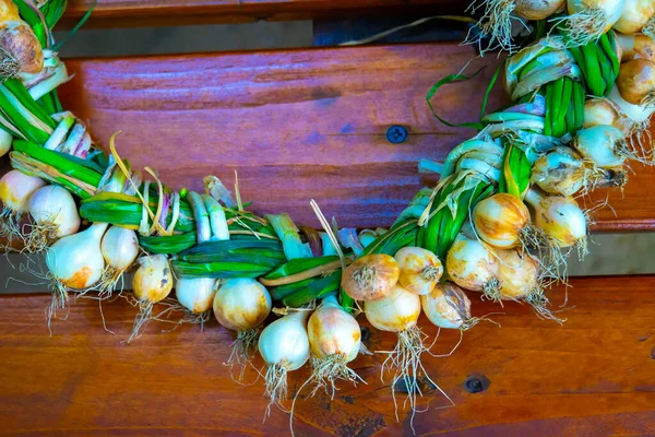 closeup Garlic wreaths. Rich harvest. Agriculture and farming.
