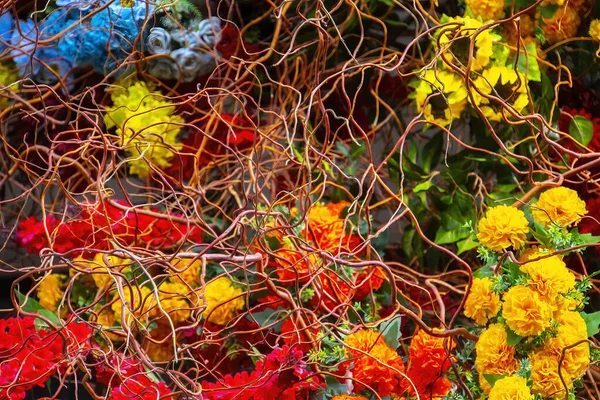 Közelkép Őszi Virágok Háttér Textúra — Stock Fotó