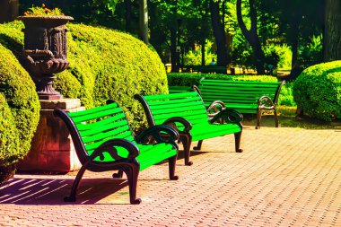 Sonbaharda şehirde park bankları