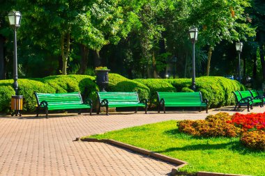 Sonbaharda şehirde park bankları