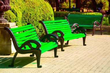 Sonbaharda şehirde park bankları