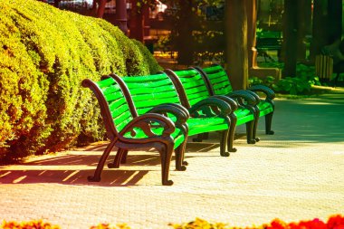 Sonbaharda şehirde park bankları