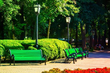 Sonbaharda şehirde park bankları