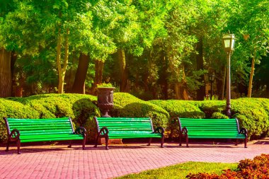 Sonbaharda şehirde park bankları