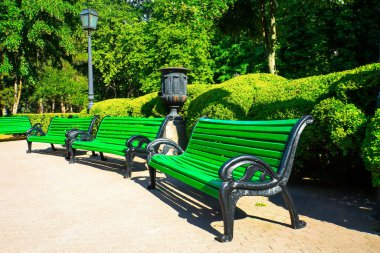 Sonbaharda şehirde park bankları