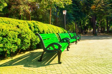Sonbaharda şehirde park bankları