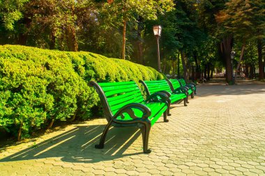 Sonbaharda şehirde park bankları