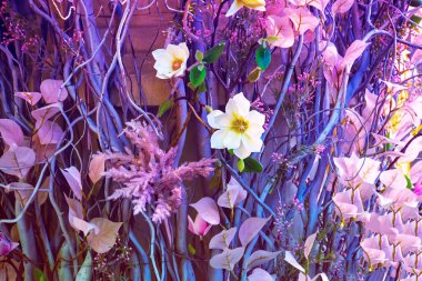 Sonbahar pembe çiçekleri, arkaplan dokusu