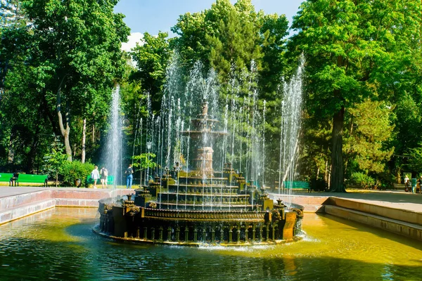 Moldova Кишинев Июля 2022 Года Вид Фонтан Центральном Парке Города — стоковое фото