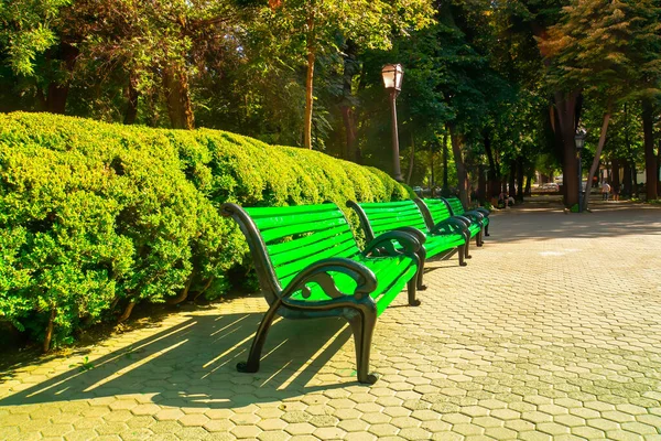 Bancos Parque Cidade Outono — Fotografia de Stock