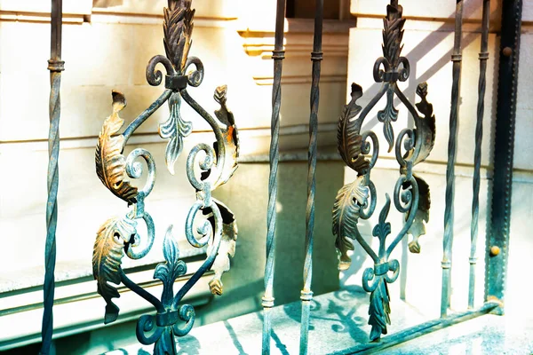 Detalles Estructura Ornamentos Cerca Puerta Hierro Forjado — Foto de Stock