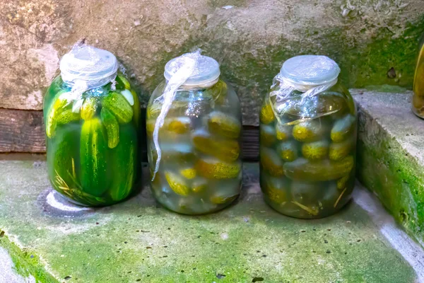 Gros Plan Cornichons Frais Faits Maison Concombres Conserve Conservés Dans — Photo