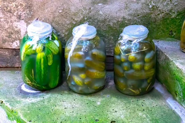 用玻璃瓶封闭罐装及保存新鲜自制泡菜 — 图库照片