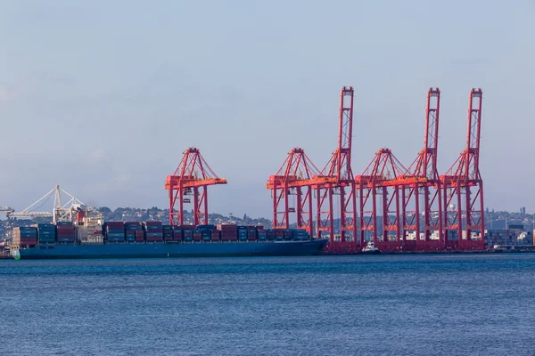 Ship Containers Harbor Cranes — Stock Photo, Image