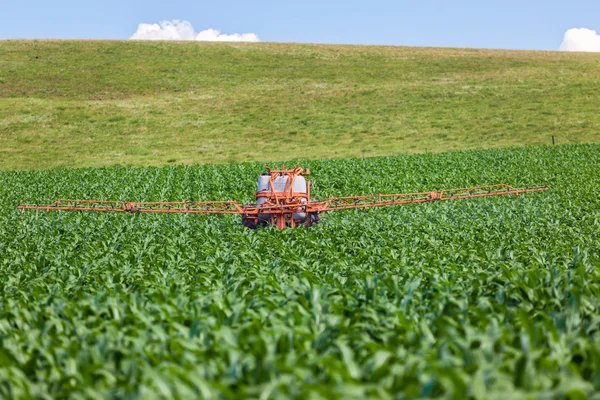 Распыление трактора для кукурузы — стоковое фото