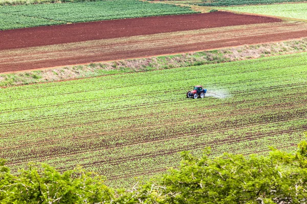 Ackerbau Traktor Gemüsepflanzen — Stockfoto