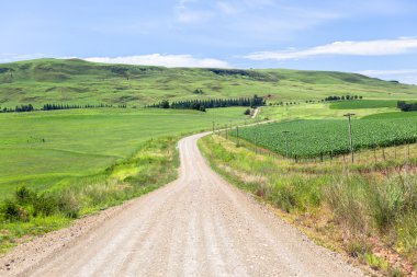 toprak yol tarım dağlar