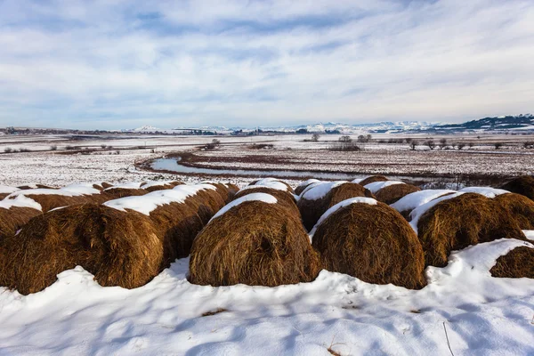 Inverno Snow Grass Bales — Fotografia de Stock