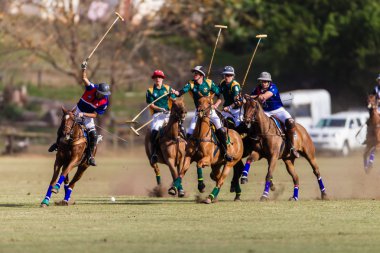 at polo oyunu eylem