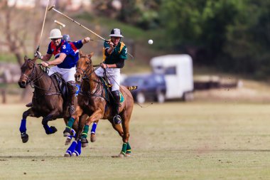 at polo oyunu eylem