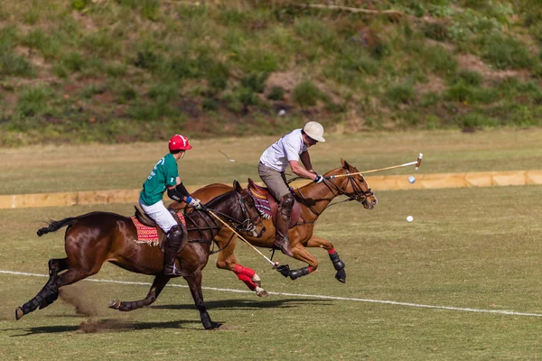 Pferdepolo Spiel Action — Stockfoto