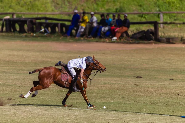 馬のポロのゲーム アクション — ストック写真