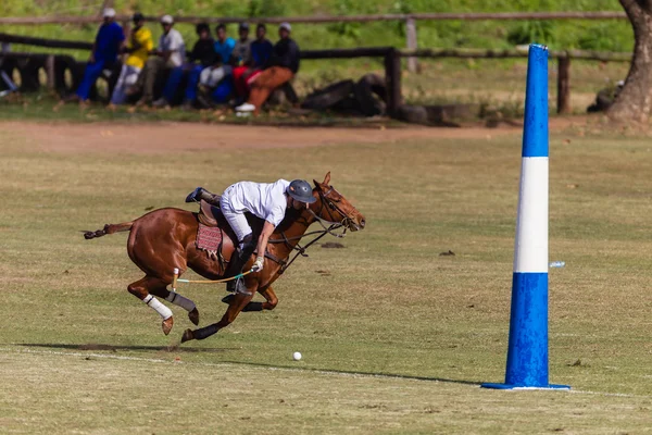 Paard polo spelactie — Stockfoto